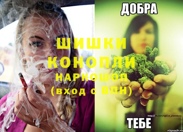 дурь Белокуриха